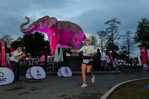 BIB: 
                            <button type="button" onclick="openModal(26529623)" class="btn btn-primary btn-sm float-right btn-popup" data-toggle="modal" data-target=".modal-high-quality">
                        <i class="fas fa-shopping-cart"></i> Add to Cart
                    </button>
                                            <button type="button" onclick="isThisMe(26529623, true)" class="btn btn-success btn-sm float-right btn-popup btn-isme hidden" data-toggle="tooltip" data-placement="bottom" title="นี่คือรูปของคุณใช่ไหม คลิกที่นี่เพื่อเอาเข้าอัลบั้ม">
                        <i class="fas fa-plus"></i> Add to album
                    </button>
                    <button type="button" onclick="isThisMe(26529623, false)" class="btn btn-warning btn-sm float-right btn-popup btn-isnotme hidden">
                        <i class="fas fa-ban"></i> Remove from album
                    </button>